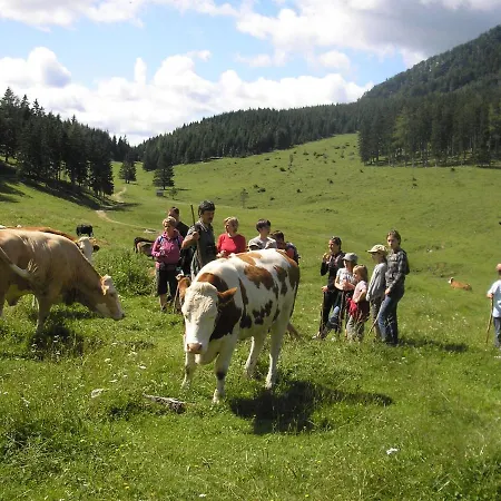 Baumann-breitenberg Sankt Georgen am Reith