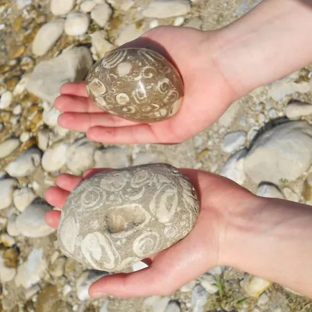 Baumann-breitenberg Apartament