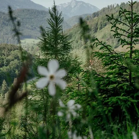 Baumann-breitenberg * Sankt Georgen am Reith