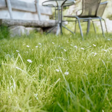 Baumann-breitenberg * Sankt Georgen am Reith