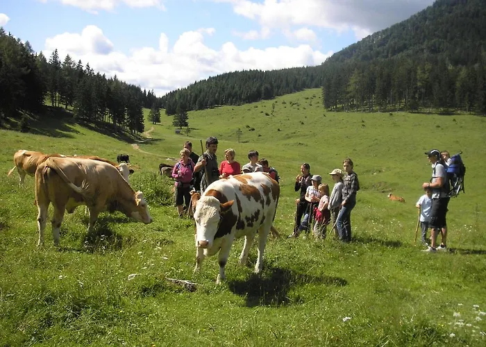 Baumann-breitenberg Sankt Georgen am Reith
