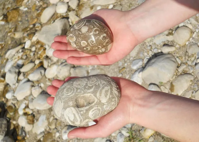 Baumann-breitenberg Appartement