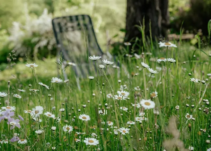 Baumann-breitenberg *