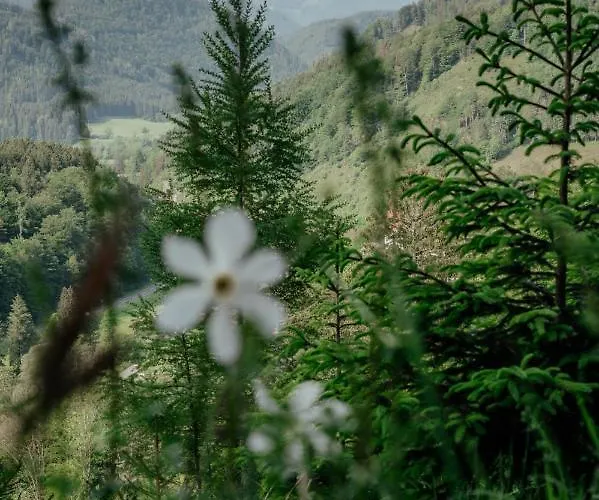 Baumann-breitenberg * Sankt Georgen am Reith