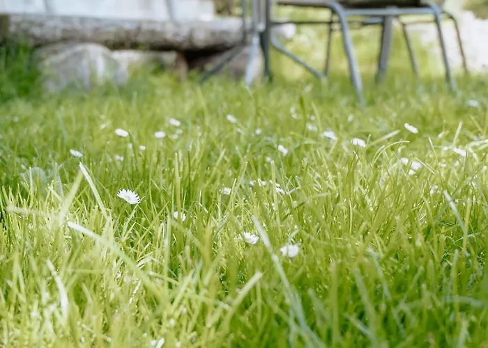 Baumann-breitenberg * Sankt Georgen am Reith